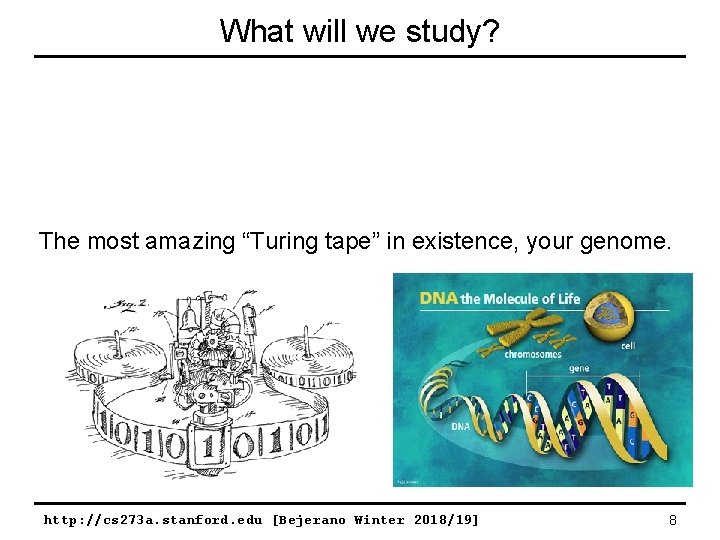 What will we study? The most amazing “Turing tape” in existence, your genome. http: