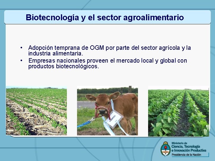 Biotecnología y el sector agroalimentario • Adopción temprana de OGM por parte del sector