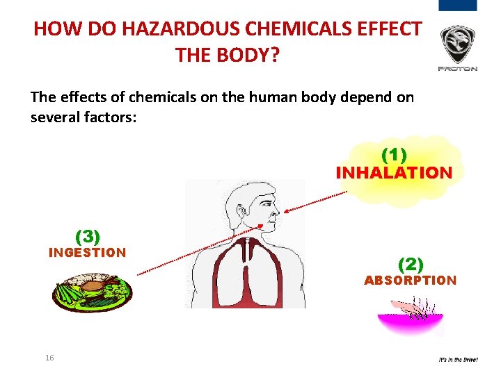 HOW DO HAZARDOUS CHEMICALS EFFECT THE BODY? The effects of chemicals on the human HOW DO HAZARDOUS CHEMICALS EFFECT THE BODY? The effects of chemicals on the human