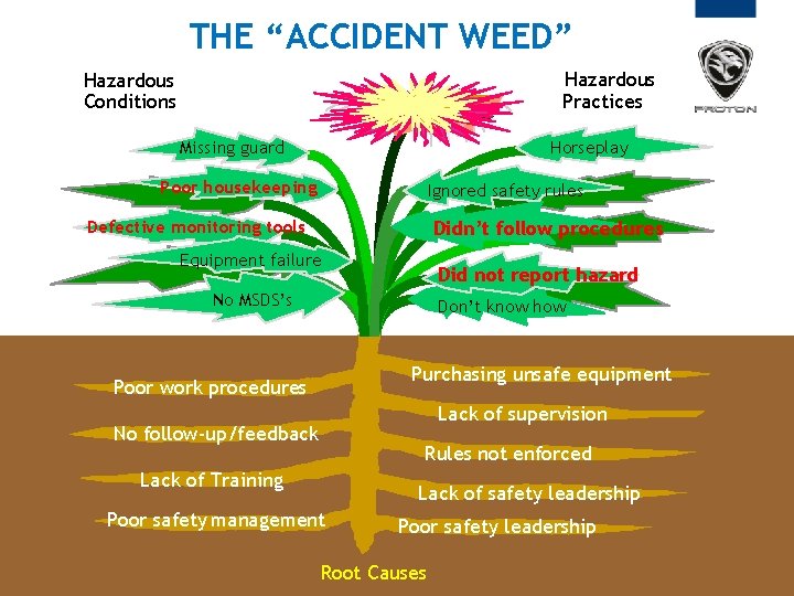 THE “ACCIDENT WEED” Hazardous Practices Hazardous Conditions Missing guard Horseplay Poor housekeeping Ignored safety THE “ACCIDENT WEED” Hazardous Practices Hazardous Conditions Missing guard Horseplay Poor housekeeping Ignored safety