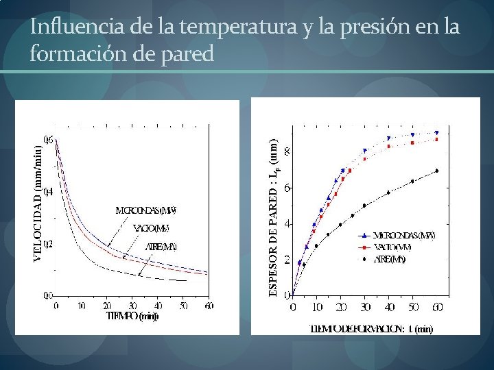 Influencia de la temperatura y la presión en la formación de pared Influencia de la temperatura y la presión en la formación de pared