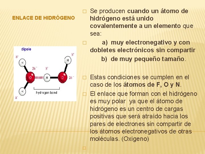 � ENLACE DE HIDRÓGENO � � Se producen cuando un átomo de hidrógeno está