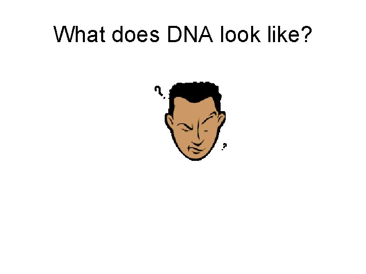 What does DNA look like? 