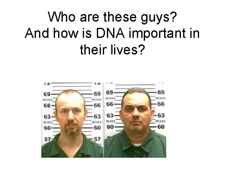 Who are these guys? And how is DNA important in their lives? 