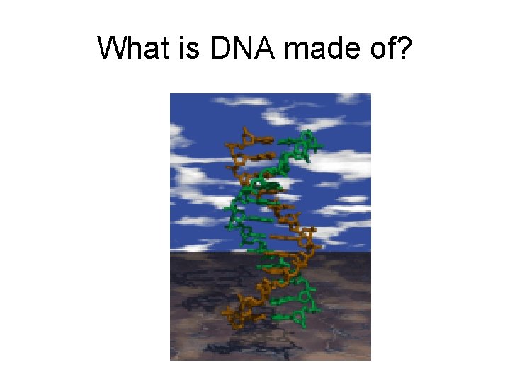 What is DNA made of? 