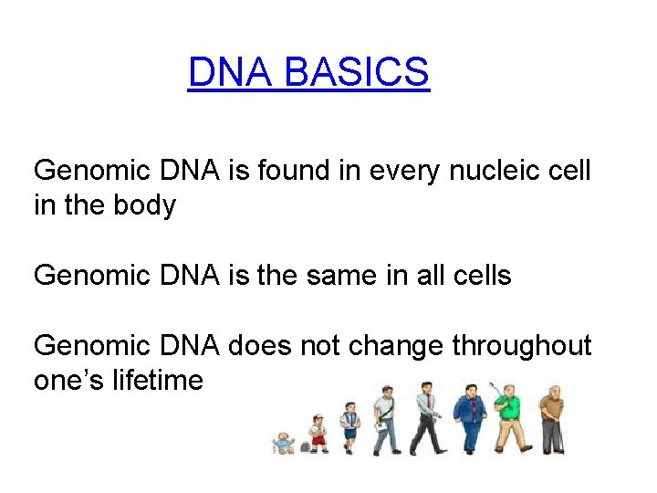 DNA BASICS Genomic DNA is found in every nucleic cell in the body Genomic