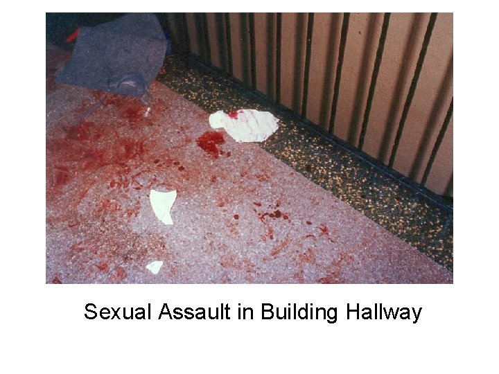Sexual Assault in Building Hallway 