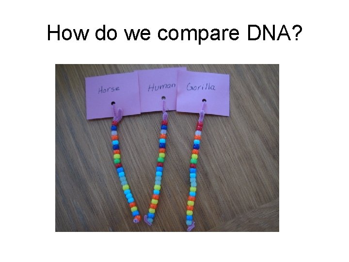 How do we compare DNA? 