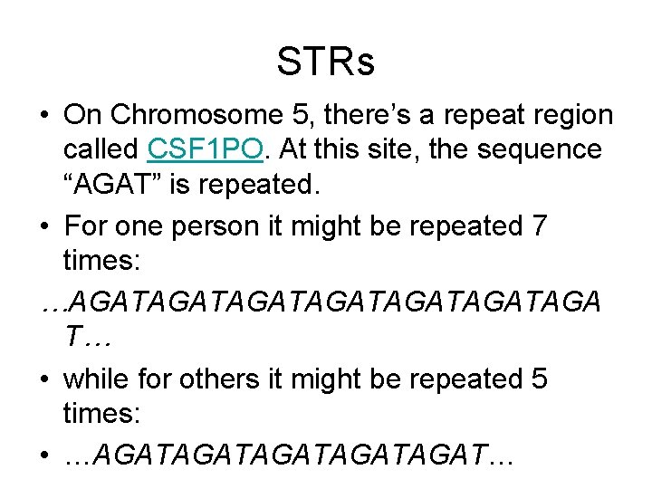 STRs • On Chromosome 5, there’s a repeat region called CSF 1 PO. At