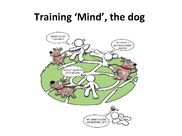 Training ‘Mind’, the dog 