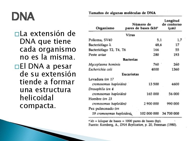 DNA � La extensión de DNA que tiene cada organismo no es la misma.