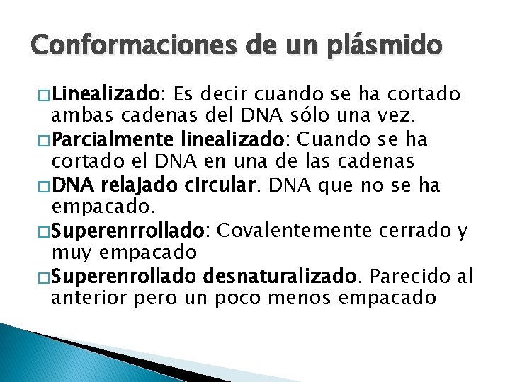 Conformaciones de un plásmido � Linealizado: Es decir cuando se ha cortado ambas cadenas