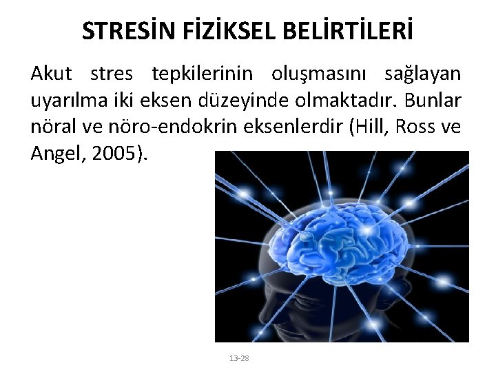 STRESİN FİZİKSEL BELİRTİLERİ Akut stres tepkilerinin oluşmasını sağlayan uyarılma iki eksen düzeyinde olmaktadır. Bunlar