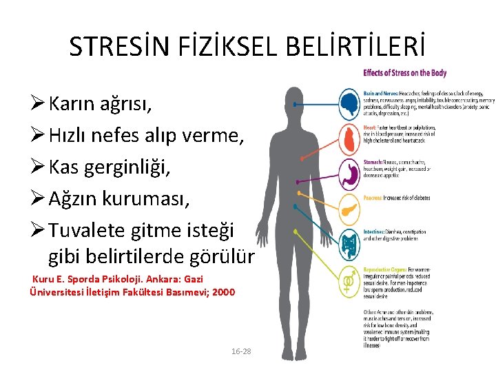 STRESİN FİZİKSEL BELİRTİLERİ Ø Karın ağrısı, Ø Hızlı nefes alıp verme, Ø Kas gerginliği,