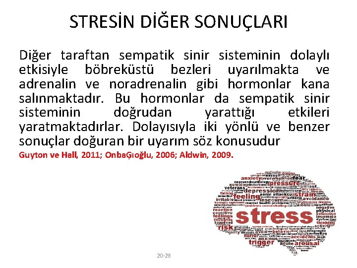 STRESİN DİĞER SONUÇLARI Diğer taraftan sempatik sinir sisteminin dolaylı etkisiyle böbreküstü bezleri uyarılmakta ve