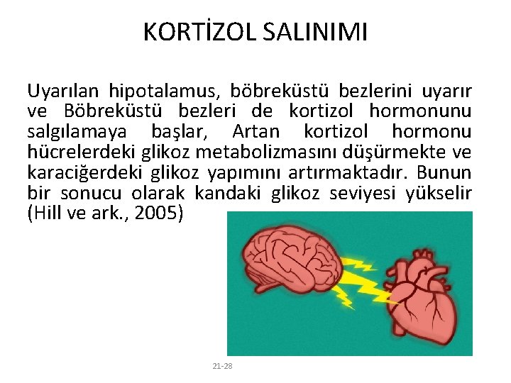 KORTİZOL SALINIMI Uyarılan hipotalamus, böbreküstü bezlerini uyarır ve Böbreküstü bezleri de kortizol hormonunu salgılamaya