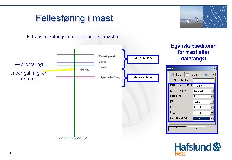 Fellesføring i mast Ø Typiske anleggsdeler som finnes i master Lavspent-sone ØFellesføring under gul