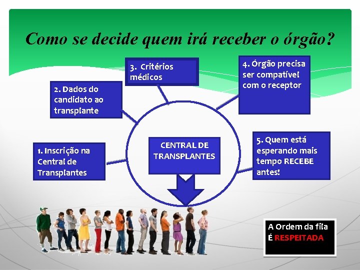 Como se decide quem irá receber o órgão? 3. Critérios médicos 2. Dados do