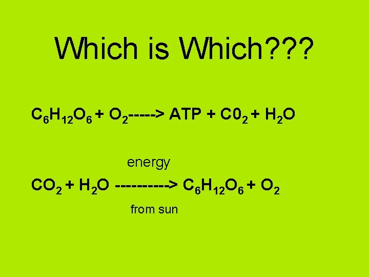 Which is Which? ? ? C 6 H 12 O 6 + O 2