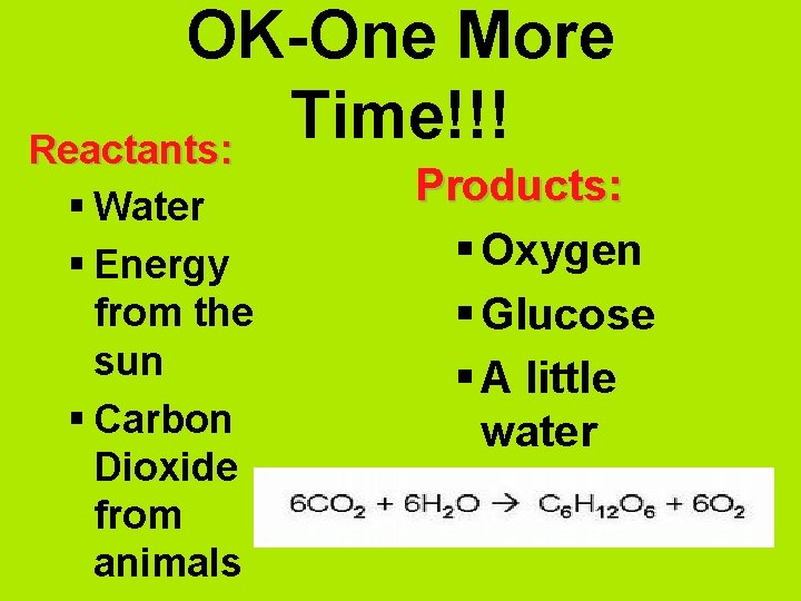 OK-One More Time!!! Reactants: § Water § Energy from the sun § Carbon Dioxide