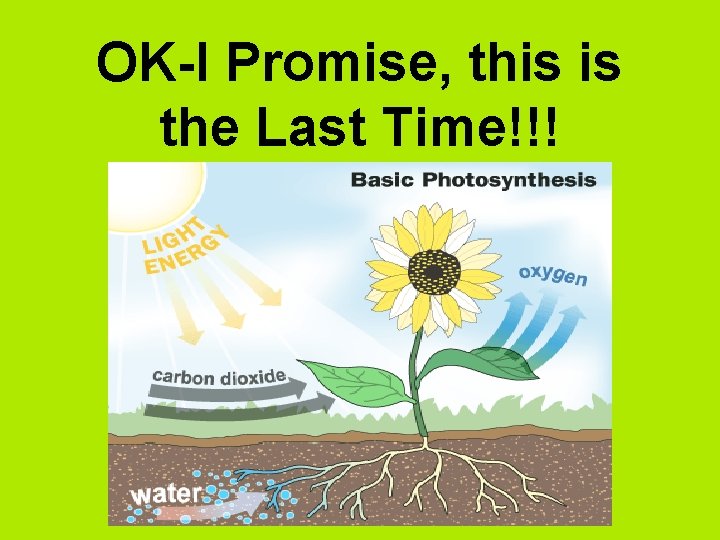 OK-I Promise, this is the Last Time!!! 