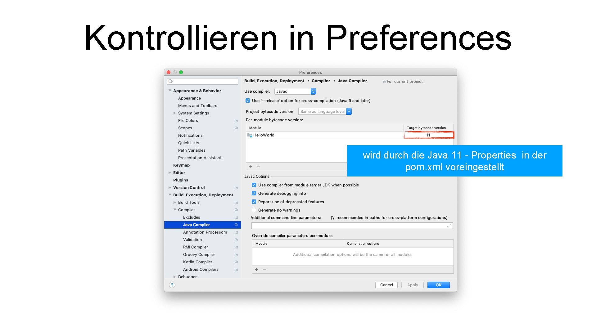 Kontrollieren in Preferences wird durch die Java 11 - Properties in der pom. xml
