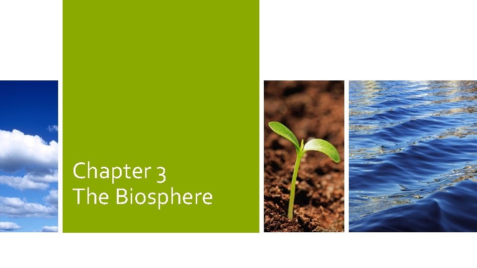 Chapter 3 The Biosphere 