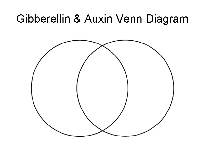 Gibberellin & Auxin Venn Diagram 