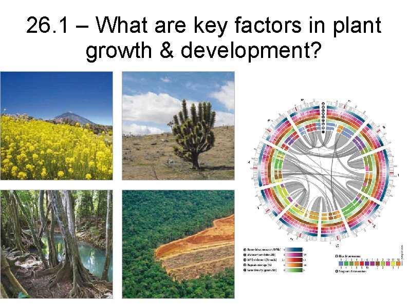 26. 1 – What are key factors in plant growth & development? 
