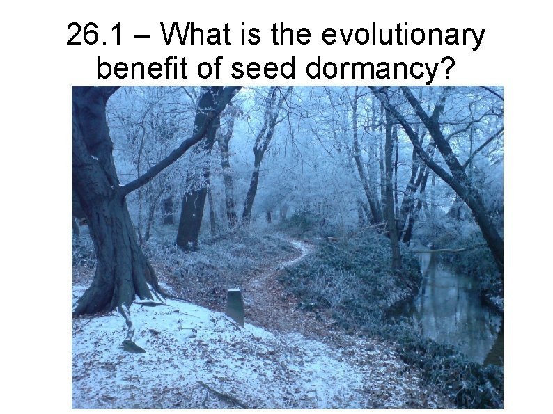 26. 1 – What is the evolutionary benefit of seed dormancy? 