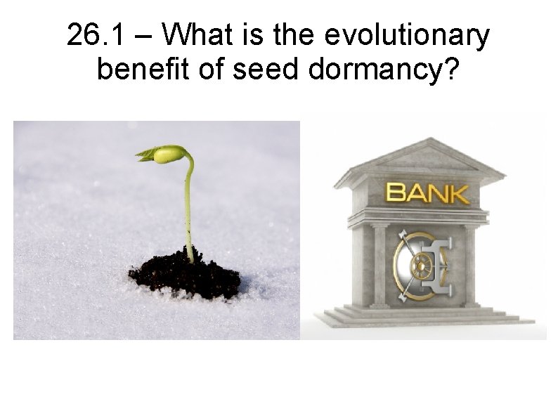 26. 1 – What is the evolutionary benefit of seed dormancy? 