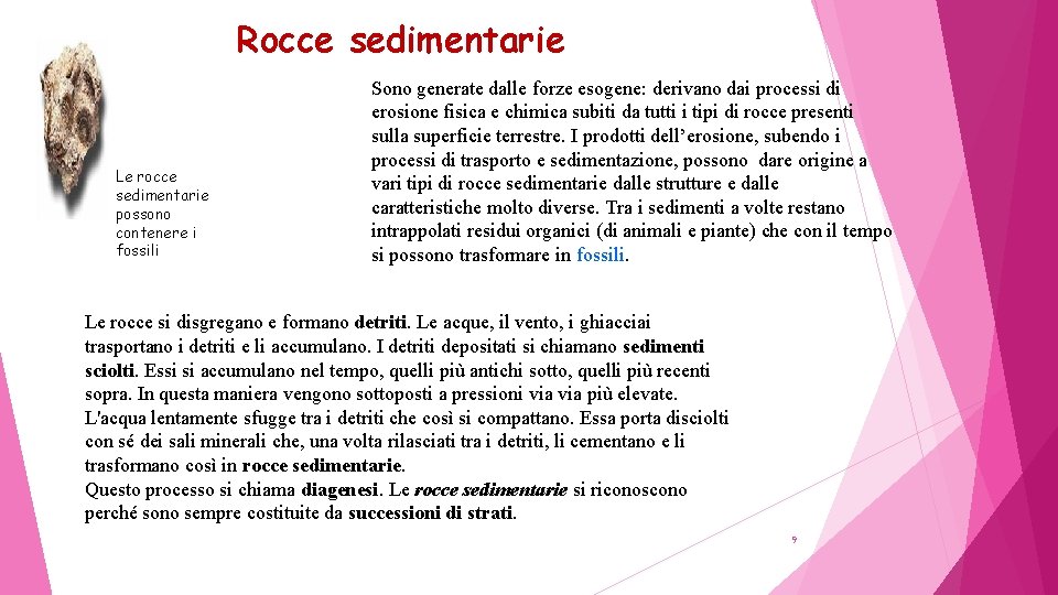 Rocce sedimentarie Le rocce sedimentarie possono contenere i fossili Sono generate dalle forze esogene: