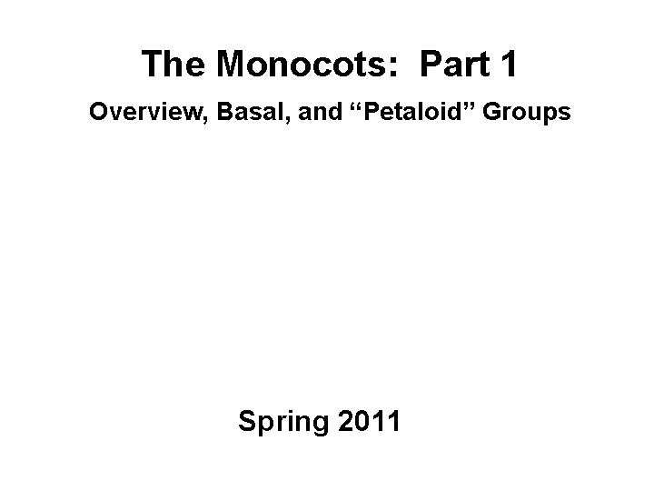 The Monocots: Part 1 Overview, Basal, and “Petaloid” Groups Spring 2011 