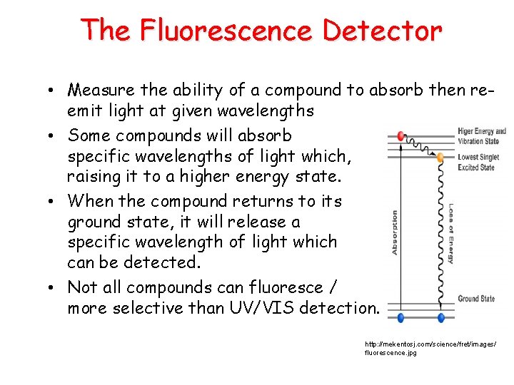 The Fluorescence Detector • Measure the ability of a compound to absorb then reemit