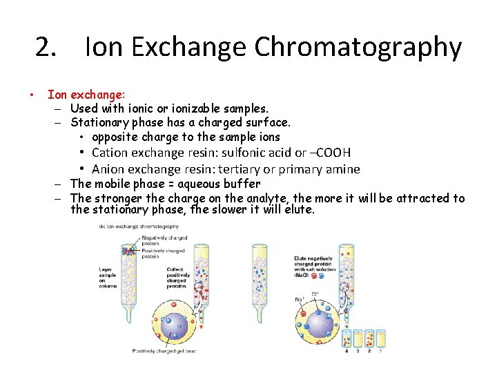 2. Ion Exchange Chromatography • Ion exchange: – Used with ionic or ionizable samples.