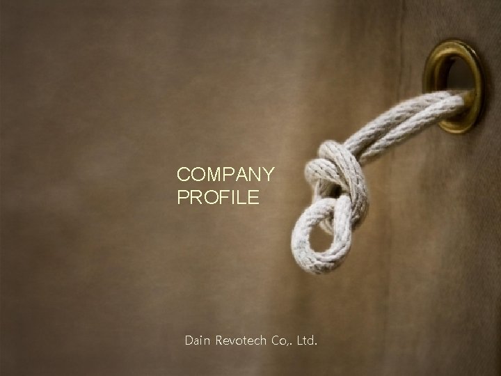 COMPANY PROFILE Dain Revotech Co, . Ltd. 