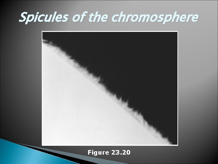 Spicules of the chromosphere Figure 23. 20 