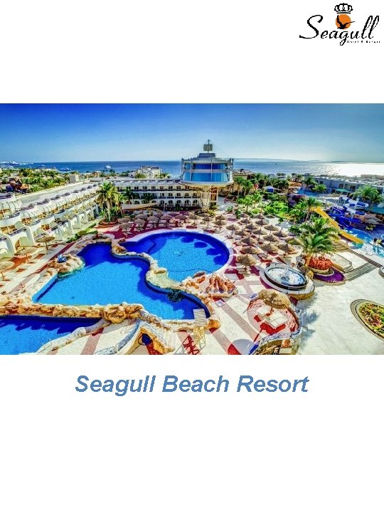 Seagull Beach Resort 