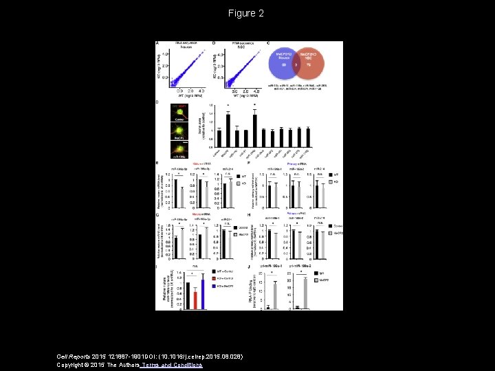 Figure 2 Cell Reports 2015 121887 -1901 DOI: (10. 1016/j. celrep. 2015. 08. 028)