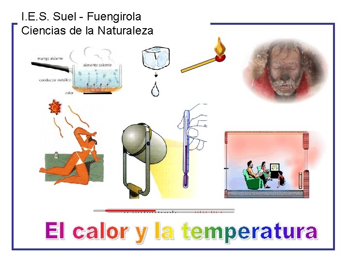 I. E. S. Suel - Fuengirola Ciencias de la Naturaleza 