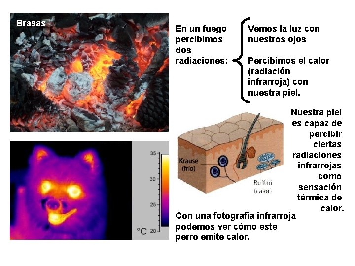 Brasas En un fuego percibimos dos radiaciones: Vemos la luz con nuestros ojos Percibimos