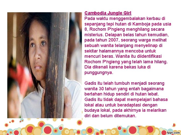 Cambodia Jungle Girl Pada waktu menggembalakan kerbau di sepanjang tepi hutan di Kamboja pada