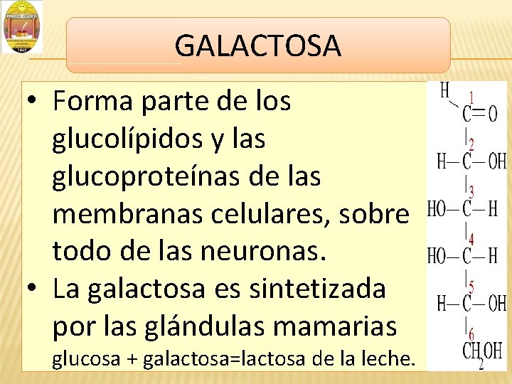 GALACTOSA • Forma parte de los glucolípidos y las glucoproteínas de las membranas celulares,