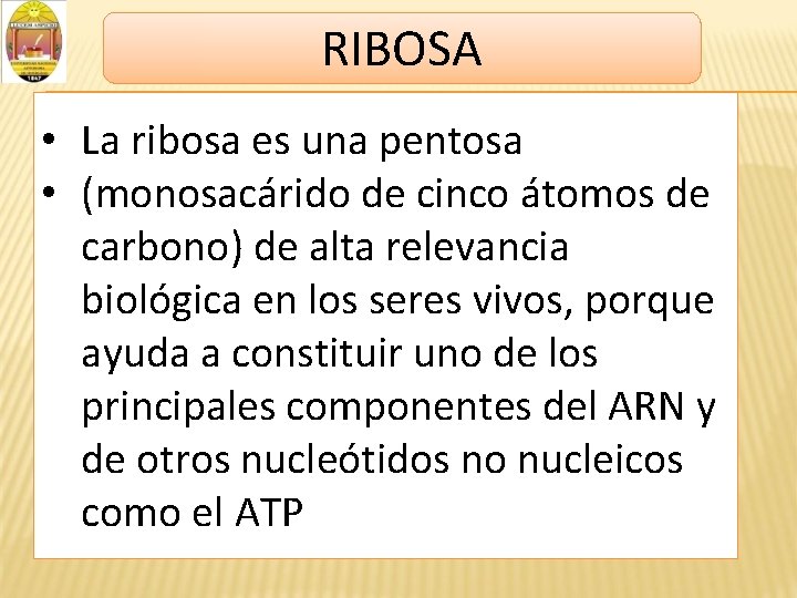 RIBOSA • La ribosa es una pentosa • (monosacárido de cinco átomos de carbono)