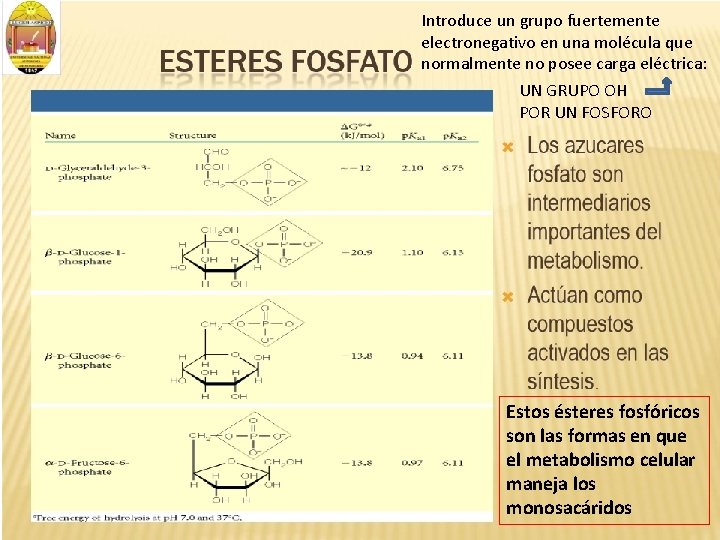 Introduce un grupo fuertemente electronegativo en una molécula que normalmente no posee carga eléctrica: