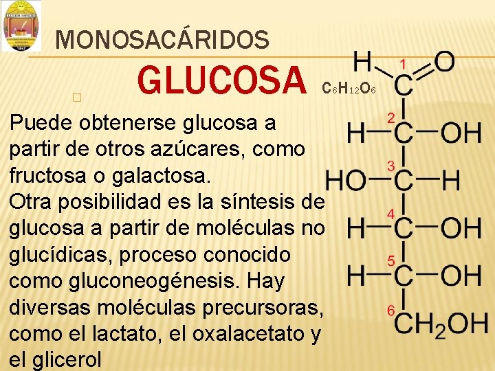 MONOSACÁRIDOS � GLUCOSA C 6 H 12 O 6 Puede obtenerse glucosa a partir