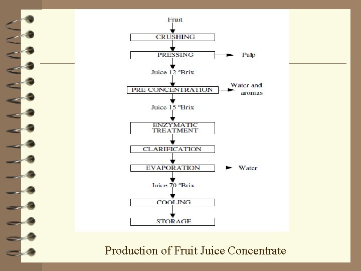 Production of Fruit Juice Concentrate 