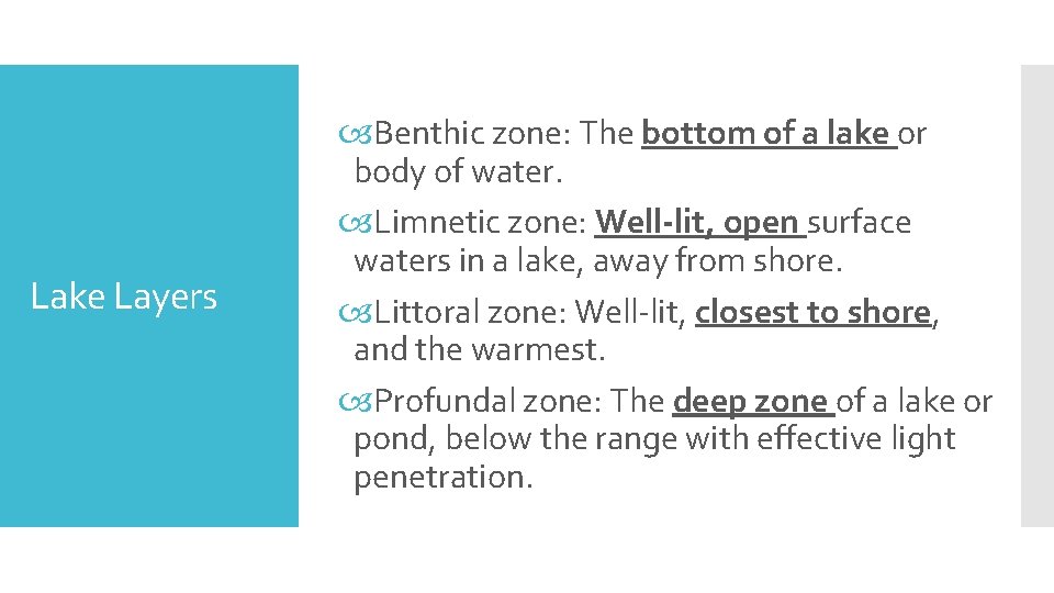 Lake Layers Benthic zone: The bottom of a lake or body of water. Limnetic