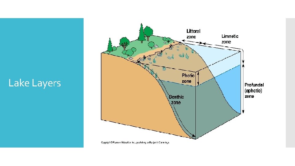 Lake Layers 