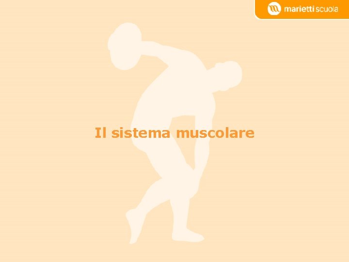 Il sistema muscolare In movimento – Marietti Scuola © 2010 De Agostini Scuola S.